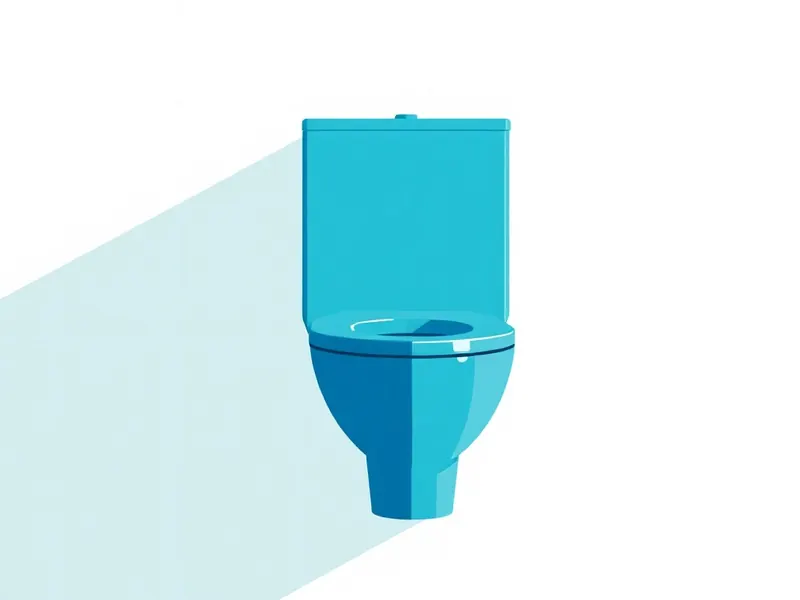 Plus d'eau chaude — intervention du plombier